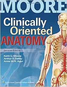 clinically oriented anatomy 7th edition pdf amazon