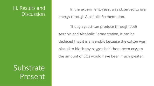yeast fermentation affected by temeperature pdf