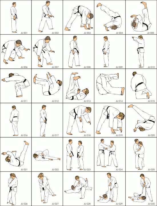 shotokan karate techniques for beginners pdf