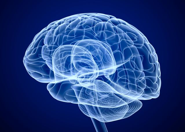 essentials of human memory cognitive psychology pdf