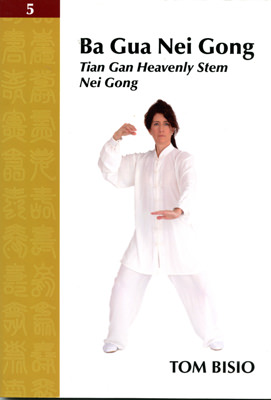 nei gong the authentic classic pdf
