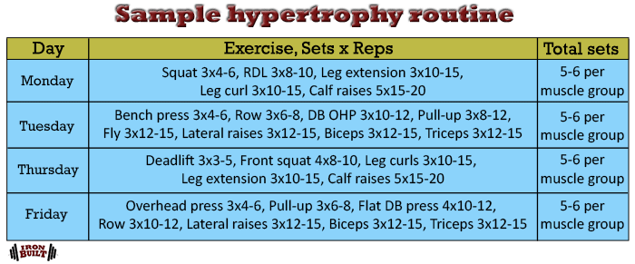 sarcoplasmic vs myofibrillar hypertrophy pdf