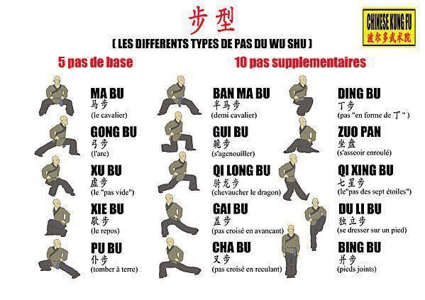 shotokan karate techniques for beginners pdf